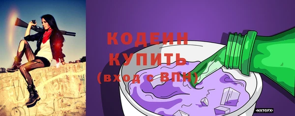 ешки Бронницы